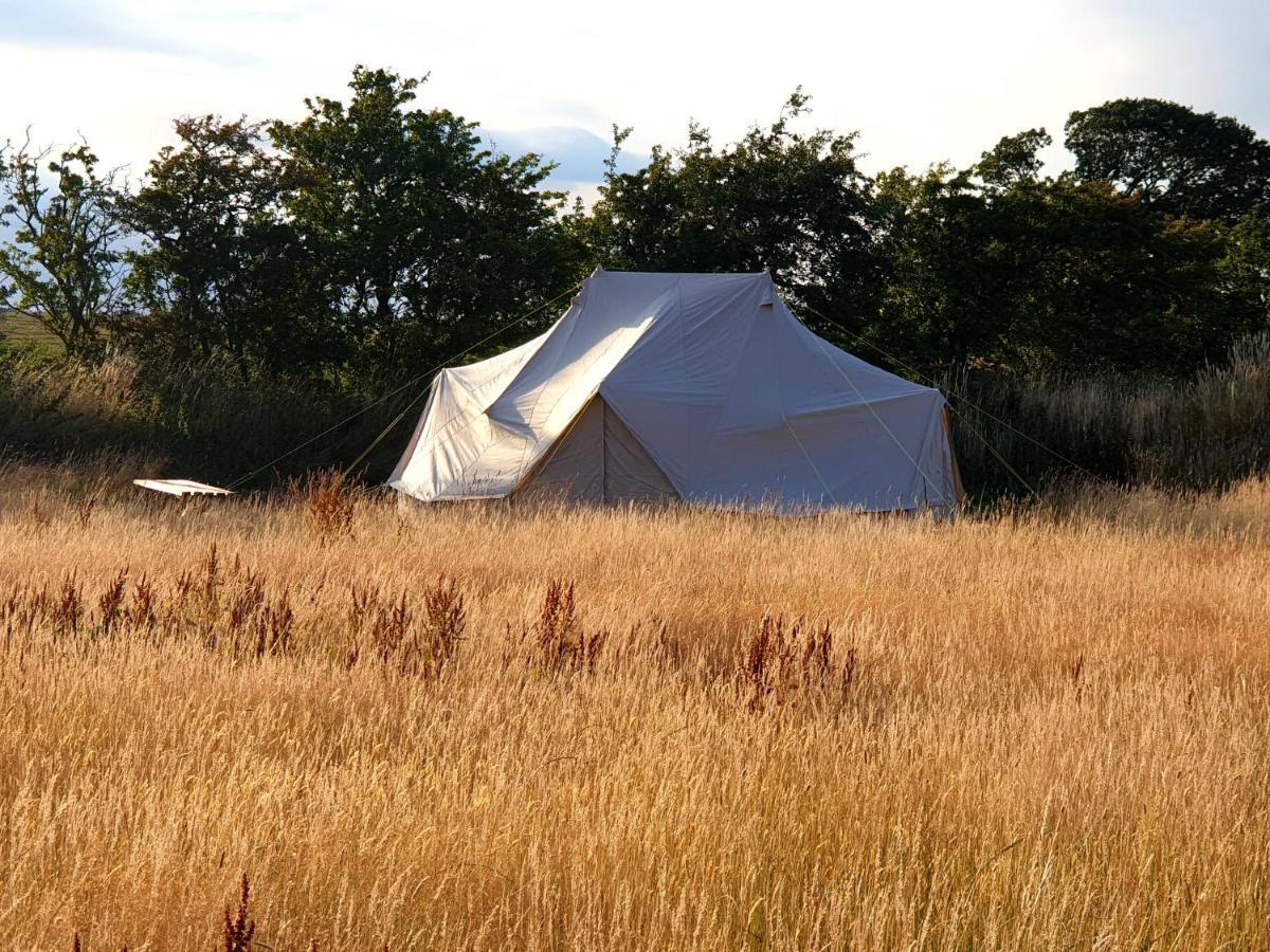 6M Emperor Tent Near Whitby With Log Burner Liverton Dış mekan fotoğraf
